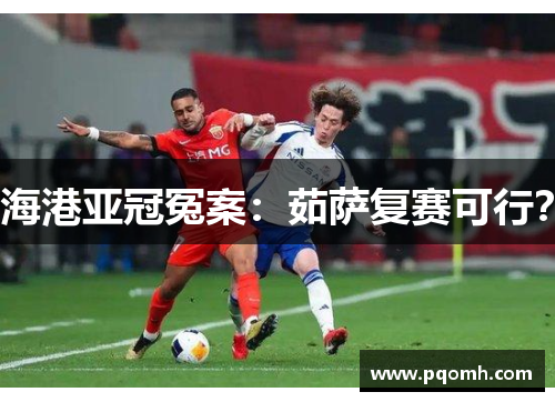 海港亚冠冤案：茹萨复赛可行？